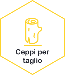 ceppi per il taglio