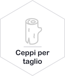 ceppi per il taglio